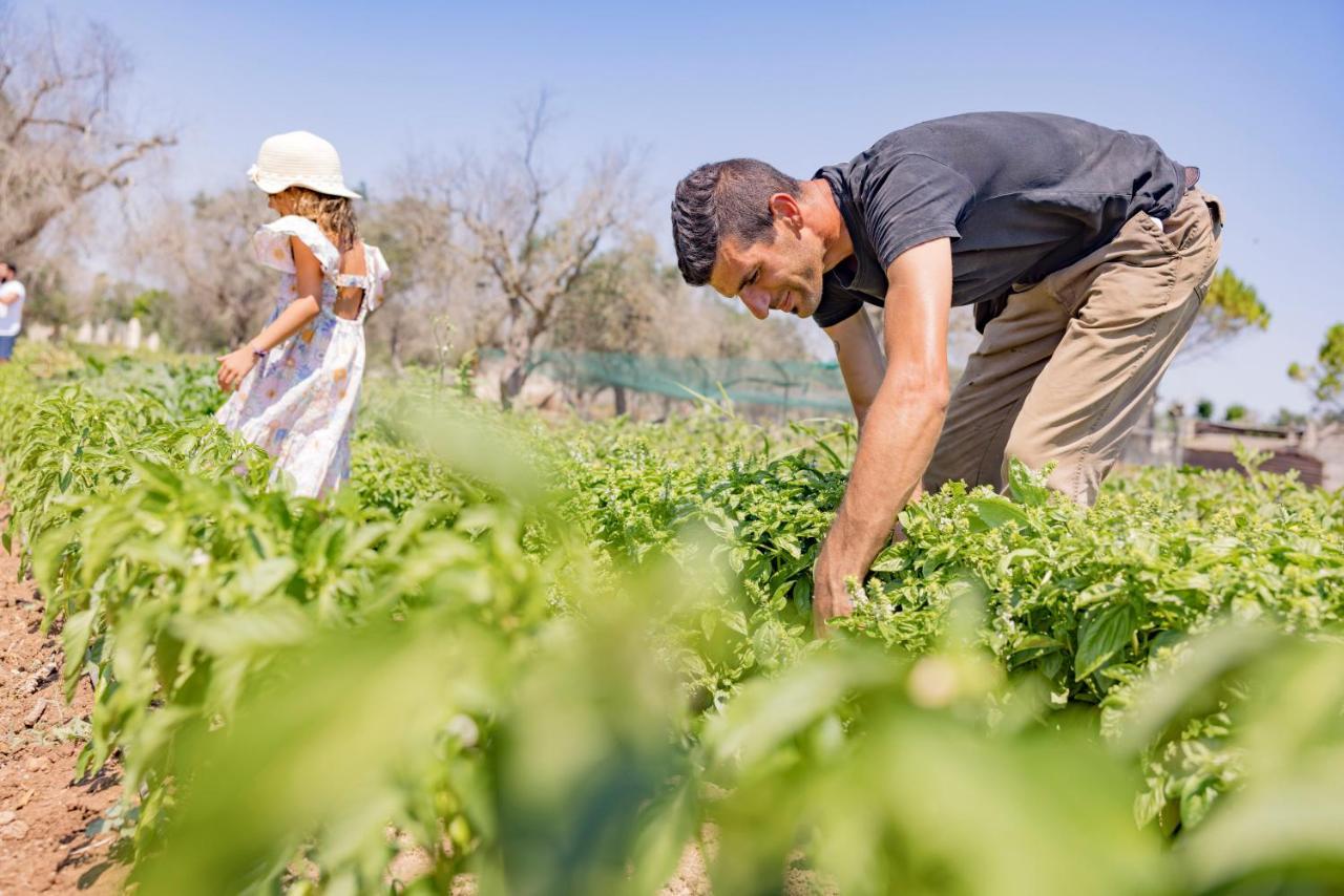 Agriturismo Le Tagliate أودجانو لا كييزا المظهر الخارجي الصورة