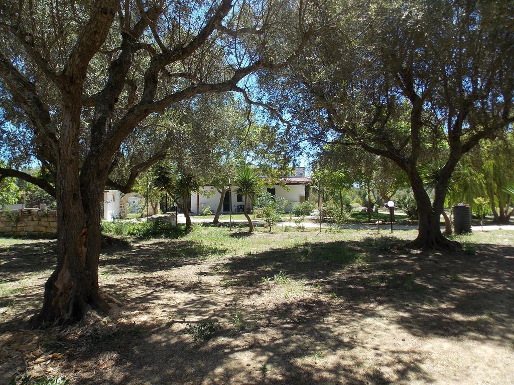 Agriturismo Le Tagliate أودجانو لا كييزا المظهر الخارجي الصورة