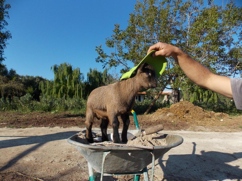 Agriturismo Le Tagliate أودجانو لا كييزا المظهر الخارجي الصورة